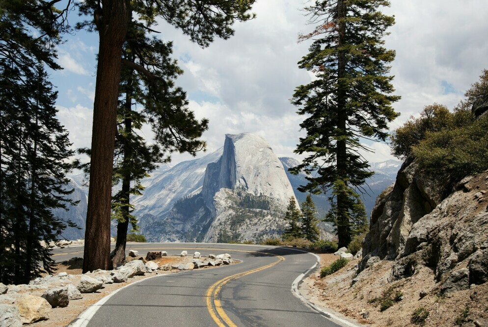 The Role of National Parks in Biodiversity Conservation